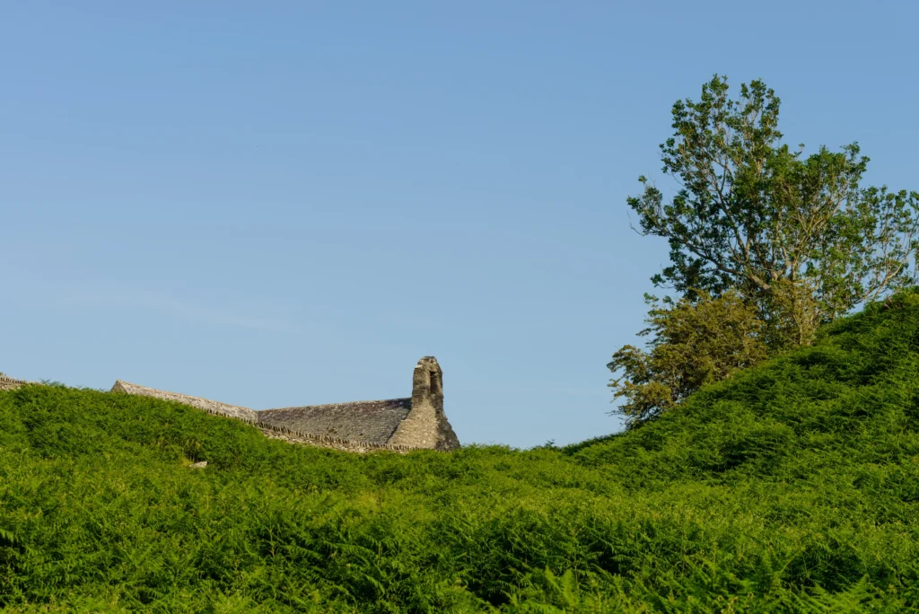 Llangelynnin Old Church just visible above a rounded hill, highlighted against the sky, with bracken and ferns in the foreground.