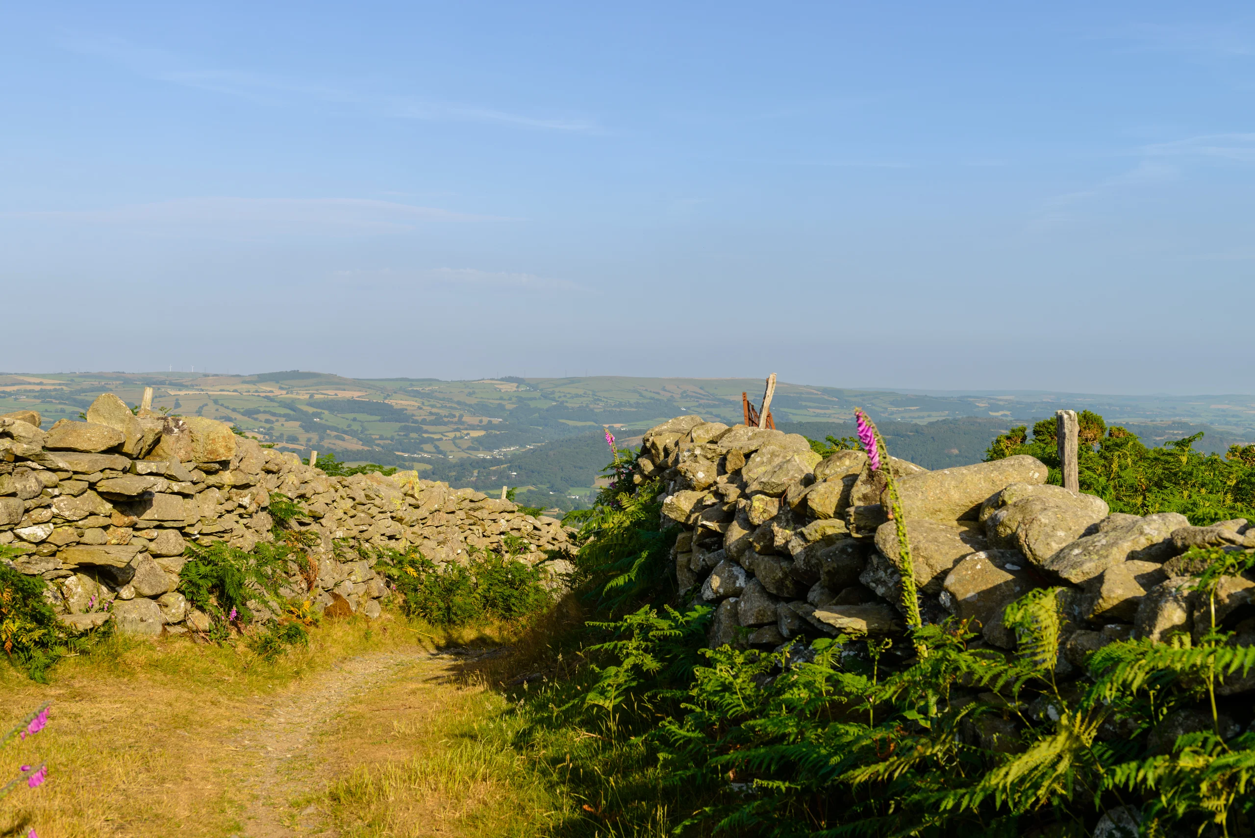 The coffin path looking back toward the Conwy valley, drystone enclosure walls on either side, valley floor 280 metres below.