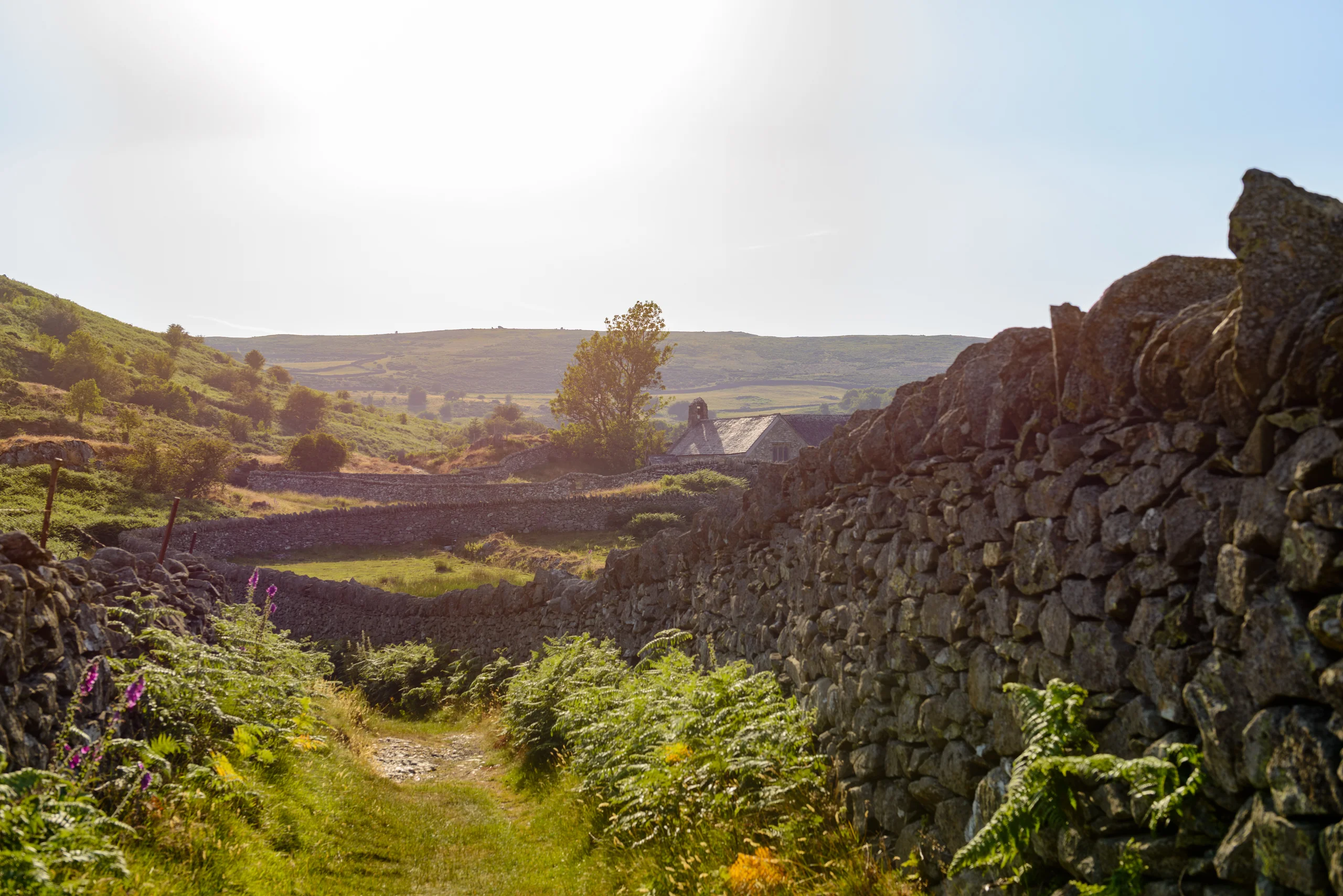 The final section of the coffin path approaching the churchyard wall in late afternoon sun. Open moorland and drystone walls.