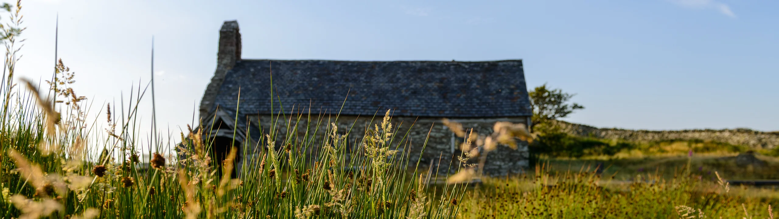 Llangelynnin Old Church seen through tall churchyard grass, belfry in silhouette against a blue sky.