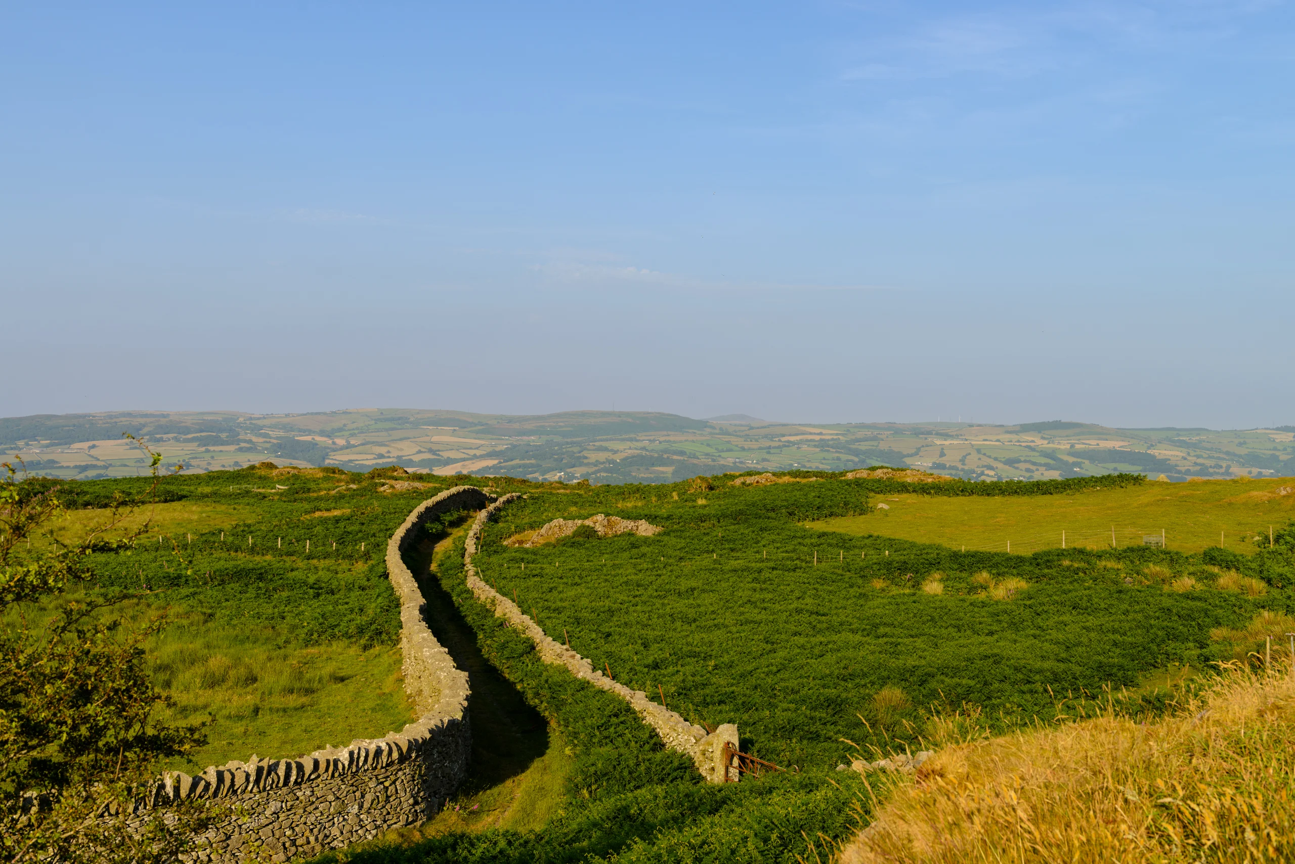 The coffin path winding across open moorland seen from the slopes of Craig Celynin, the Conwy valley in the distance.