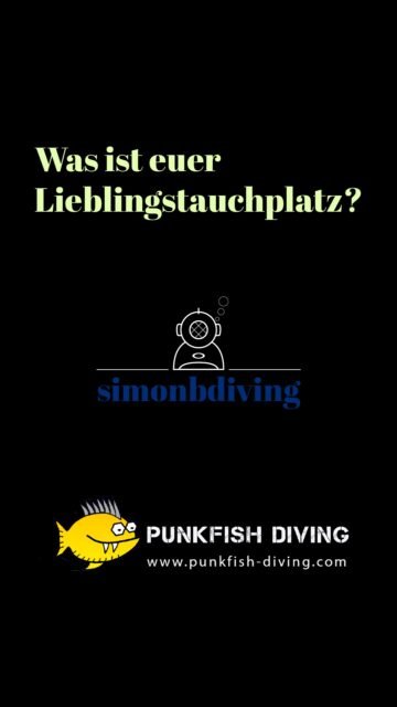 Malpique or La Salemera? Angie and Vero from @punkfishdiving don't quite agree – a short cut from a longer conversation about diving on La Palma, filmed with @simonbdiving.
Both the English and the German interviews are available on YouTube. Link in bio.
---
Malpique oder La Salemera? Angie und Vero von @punkfishdiving sind sich nicht ganz einig – ein kurzer Ausschnitt aus einem längeren Gespräch übers Tauchen auf La Palma, gedreht mit @simonbdiving.
Sowohl das englische als auch das deutsche Interview sind jetzt online. Link in der Bio.