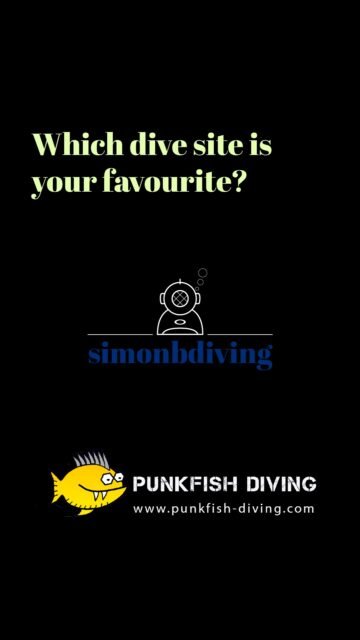 Malpique or La Salemera? Angie and Vero from @punkfishdiving don't quite agree – a short cut from a longer conversation about diving on La Palma, filmed with @simonbdiving.
Both the English and the German interviews are available on YouTube. Link in bio.
---
Malpique oder La Salemera? Angie und Vero von @punkfishdiving sind sich nicht ganz einig – ein kurzer Ausschnitt aus einem längeren Gespräch übers Tauchen auf La Palma, gedreht mit @simonbdiving.
Sowohl das englische als auch das deutsche Interview sind jetzt online. Link in der Bio.