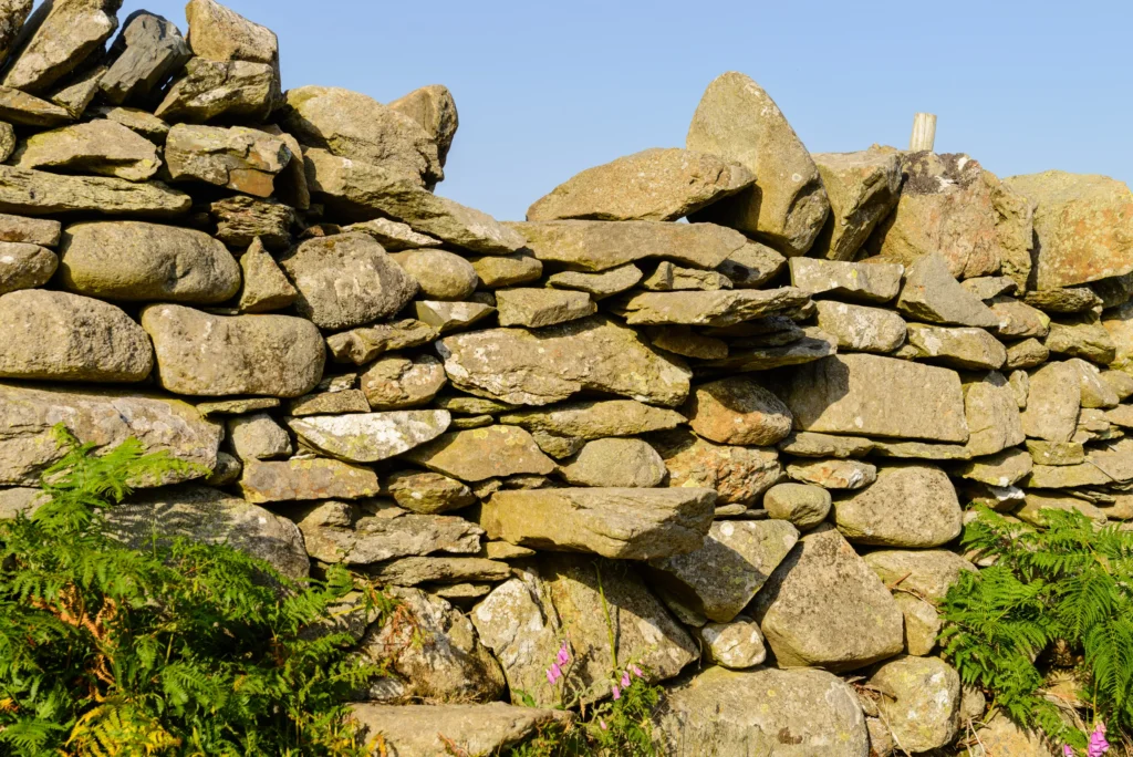 Flat stones protruding horizontally from a drystone enclosure wall, forming the steps of a stile.