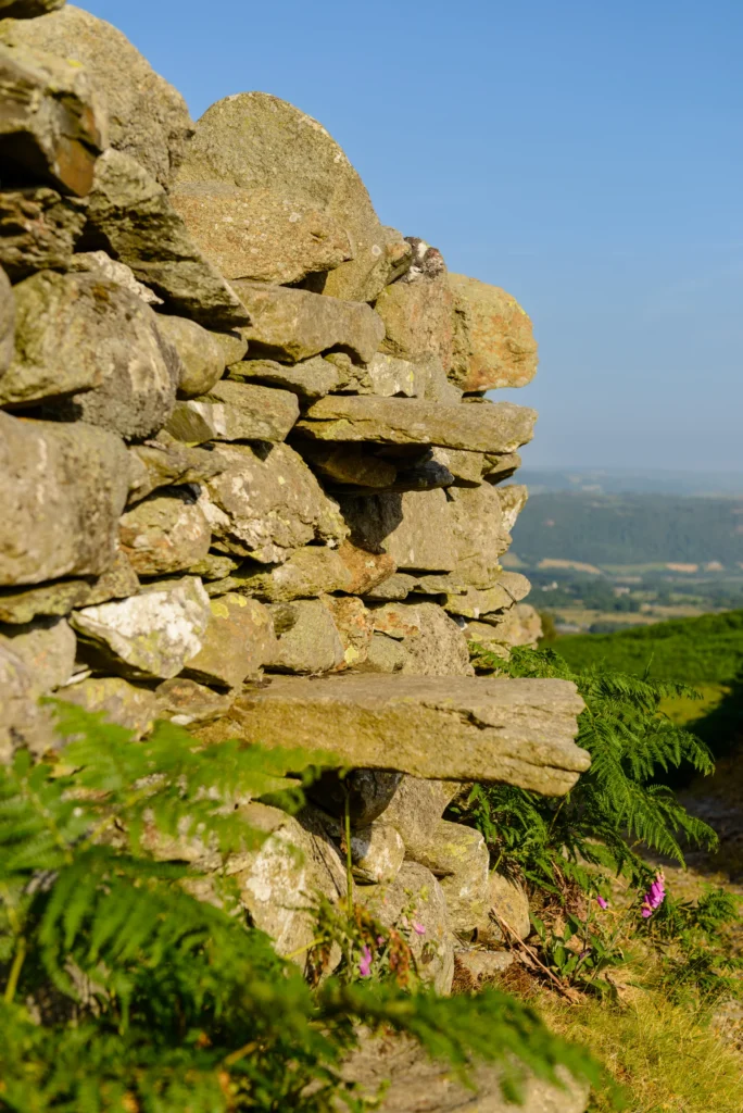 Flat stones protruding from a drystone enclosure wall forming a stile, seen from the coffin path looking away from the church.