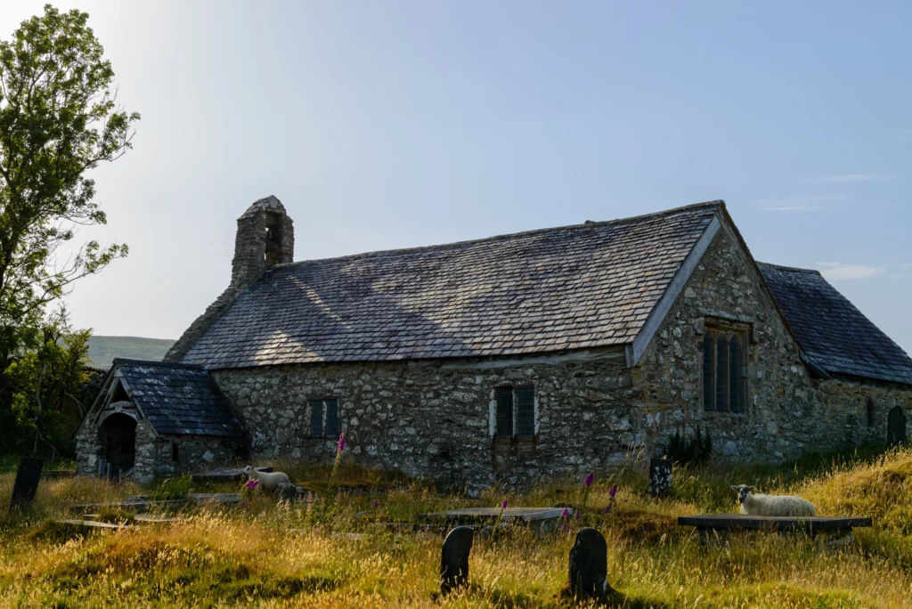The approach through overgrown churchyard grass from the entrance gate toward the south porch of Llangelynnin Old Church.